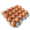 Tray of eggs